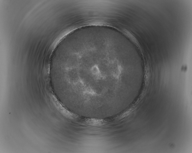 X0000113630831200910021850