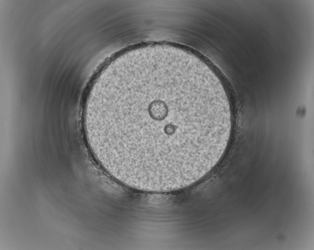 X0000113630832200910021850