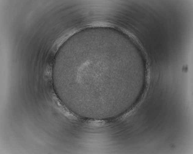 X0000113630833200910021850