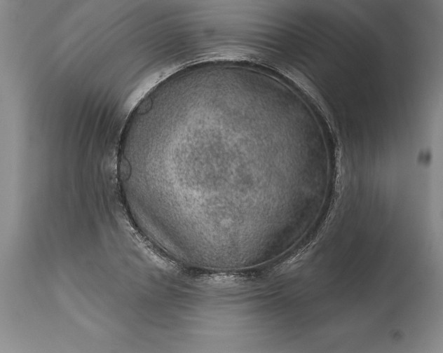 X0000113630834200910021850