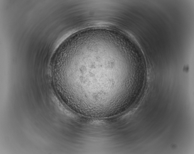X0000113630835200910021850