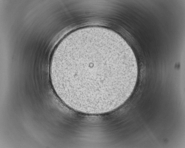 X0000113630836200910021850