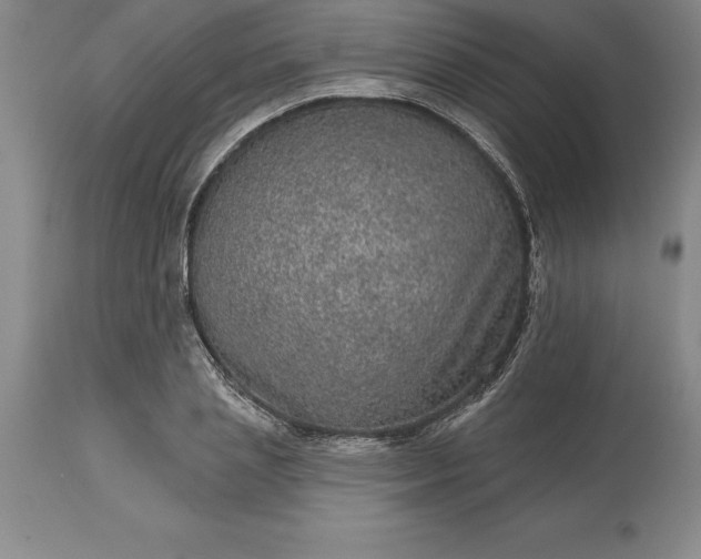 X0000113630837200910021850