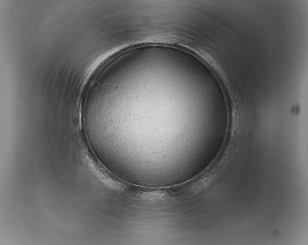 X0000113630838200910021850