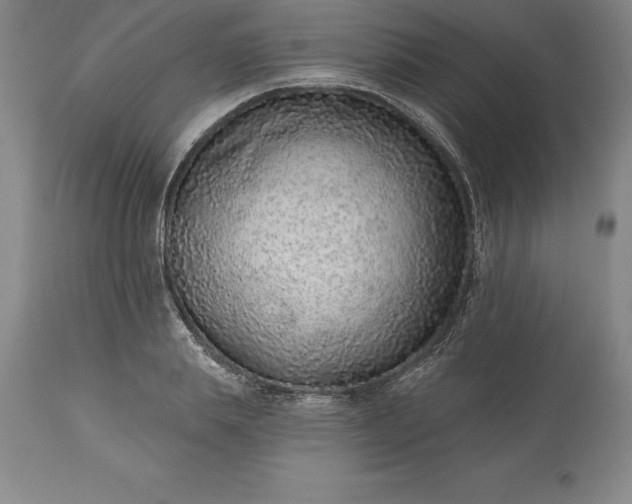 X0000113630839200910021850