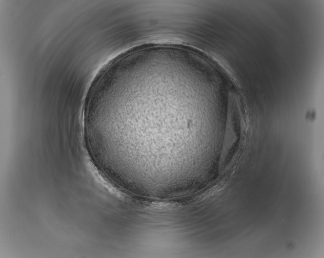 X0000113630840200910021850