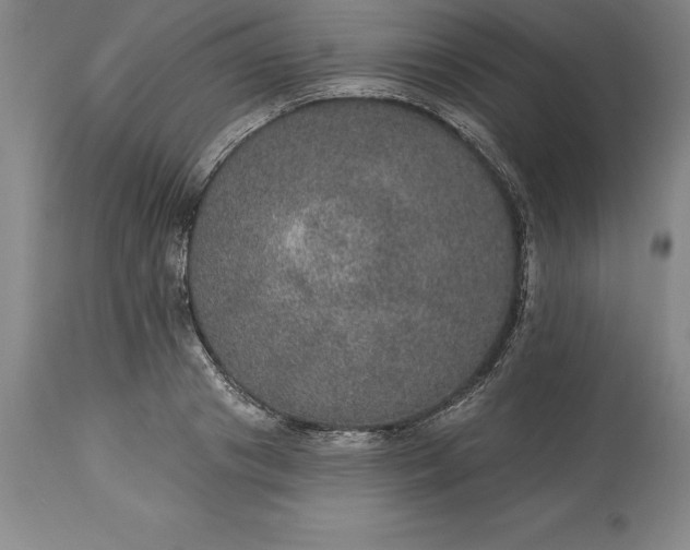 X0000113630841200910021850