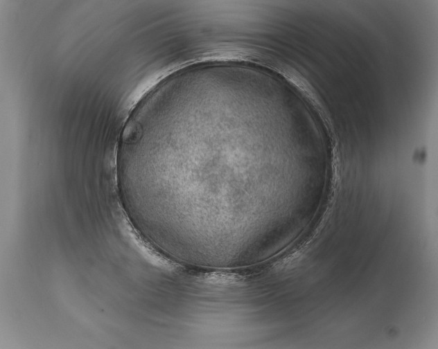X0000113630842200910021850