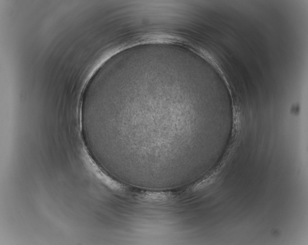 X0000113630843200910021850
