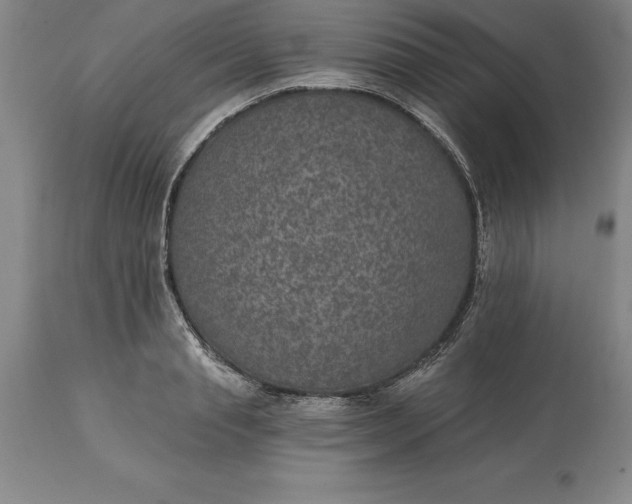 X0000113630845200910021850