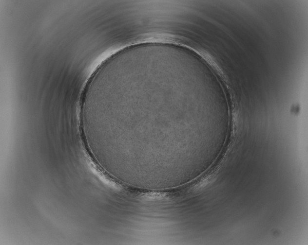 X0000113630846200910021850