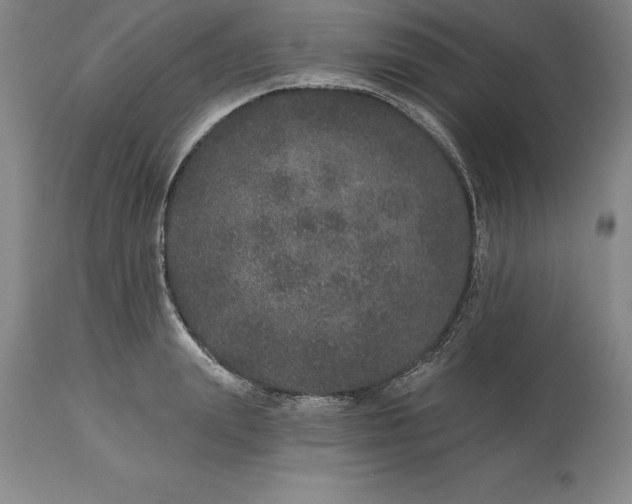X0000113630847200910021850