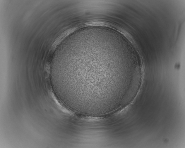 X0000113630849200910021850