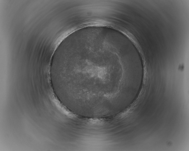 X0000113630850200910021850