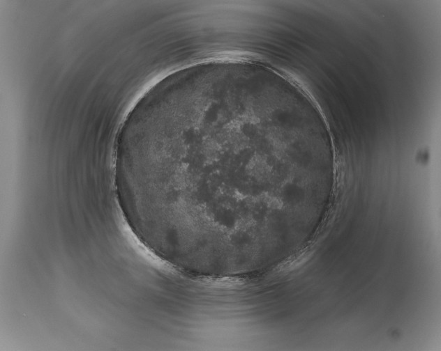 X0000113630851200910021850