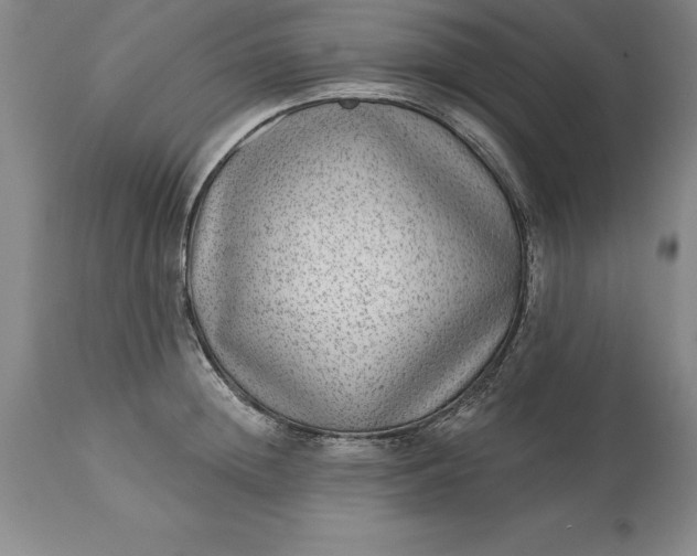 X0000113630852200910021850
