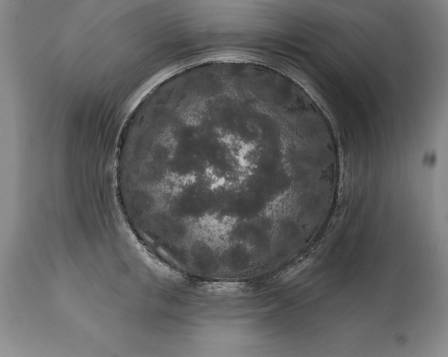 X0000113630853200910021850
