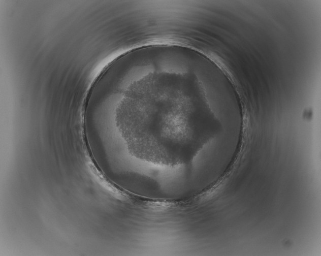 X0000113630854200910021850