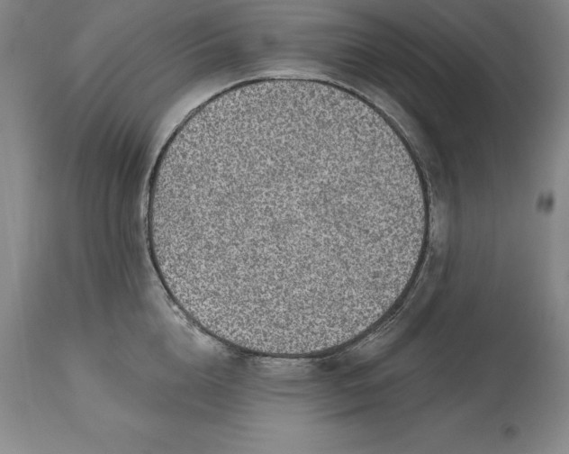 X0000113630856200910021850