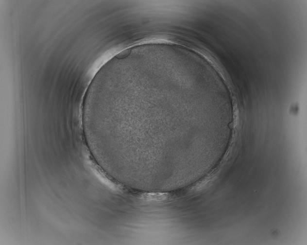 X0000113630858200910021850