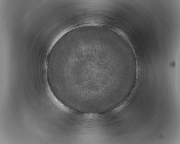 X0000113630859200910021850