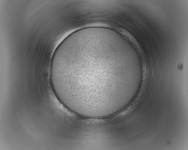 X0000113630860200910021850