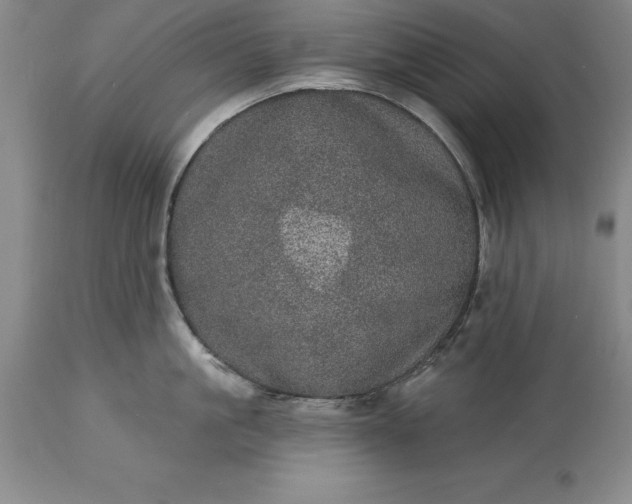 X0000113630861200910021850