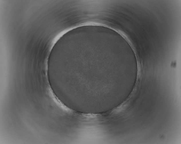 X0000113630862200910021850