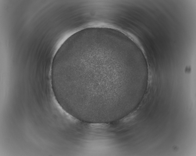 X0000113630863200910021850