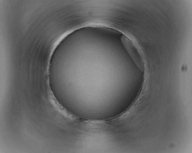X0000113630864200910021850