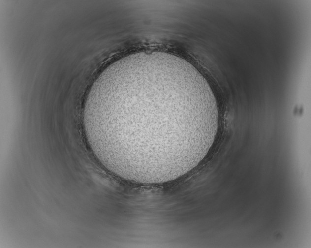 X0000113630865200910021850