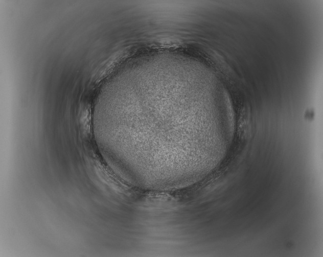 X0000113630866200910021850