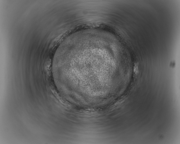 X0000113630867200910021850
