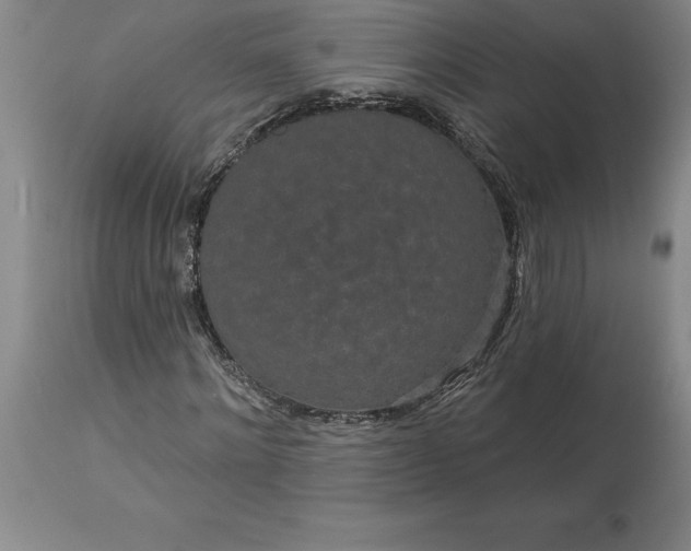 X0000113630868200910021850