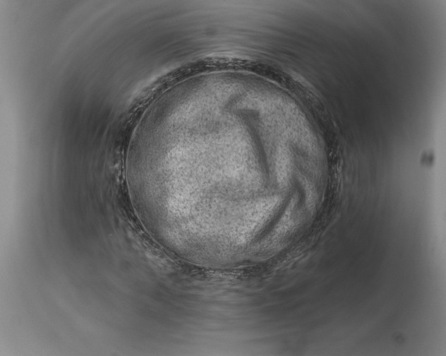 X0000113630870200910021850