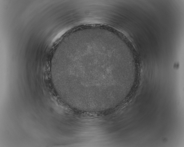 X0000113630871200910021850