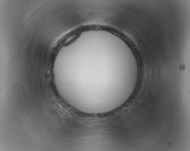X0000113630872200910021850