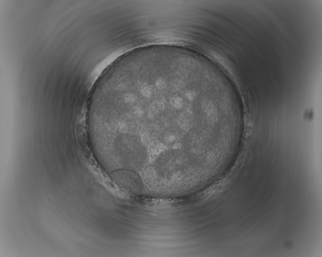 X0000113630875200910021850