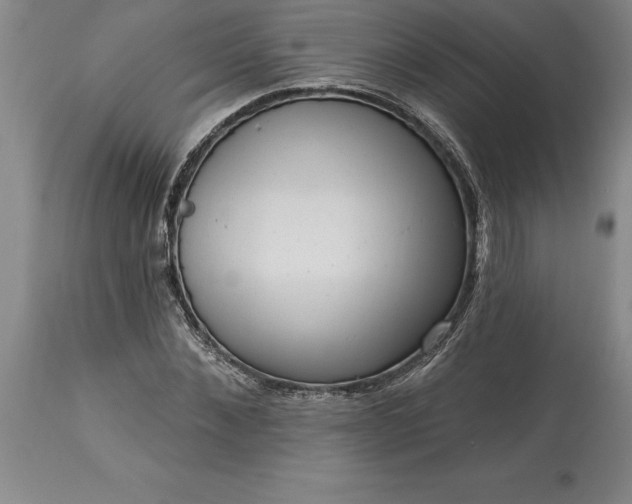 X0000113630876200910021850