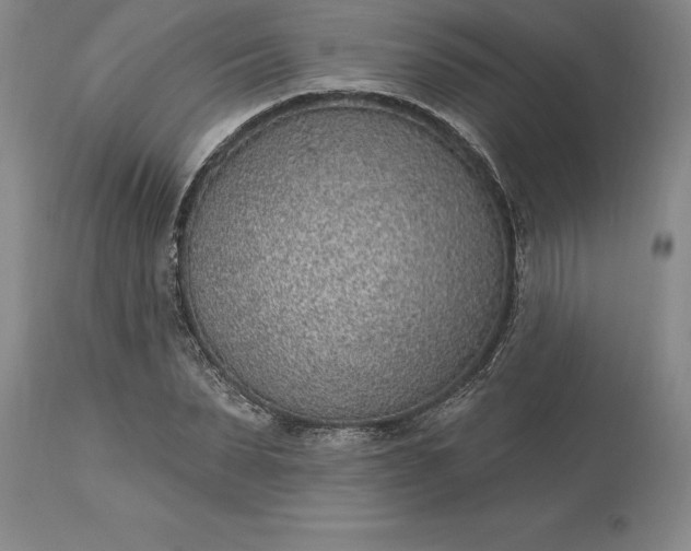 X0000113630879200910021850