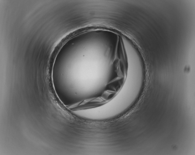 X0000113630880200910021849