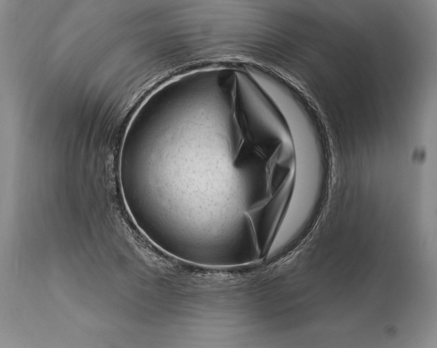 X0000113630881200910021849