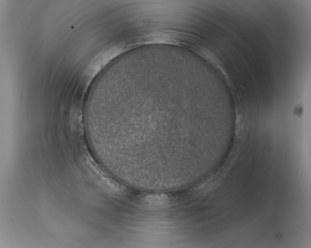 X0000113630882200910021849
