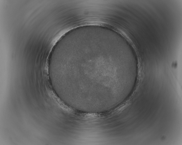 X0000113630883200910021849