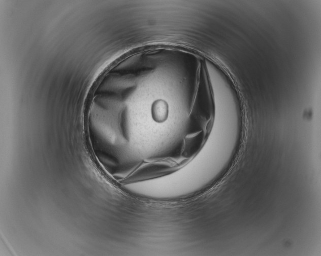 X0000113630884200910021849
