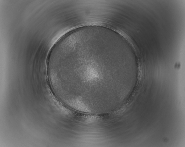 X0000113630886200910021849