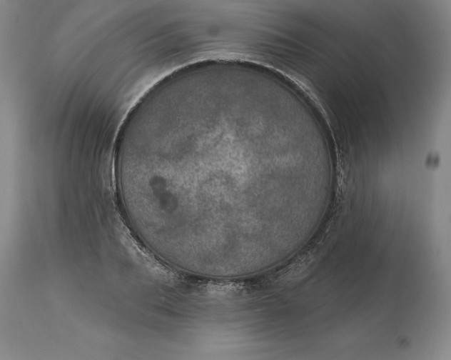 X0000113630887200910021849
