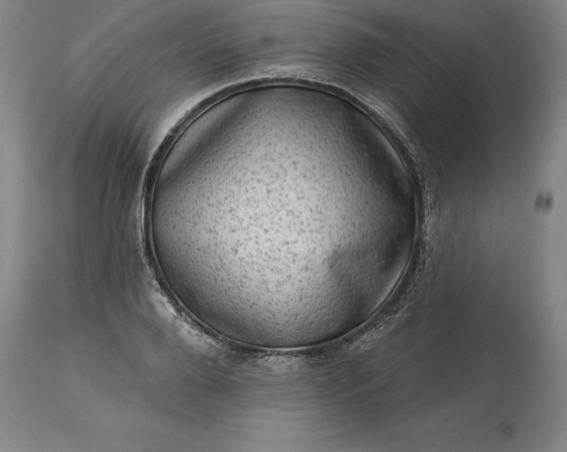 X0000113630888200910021849