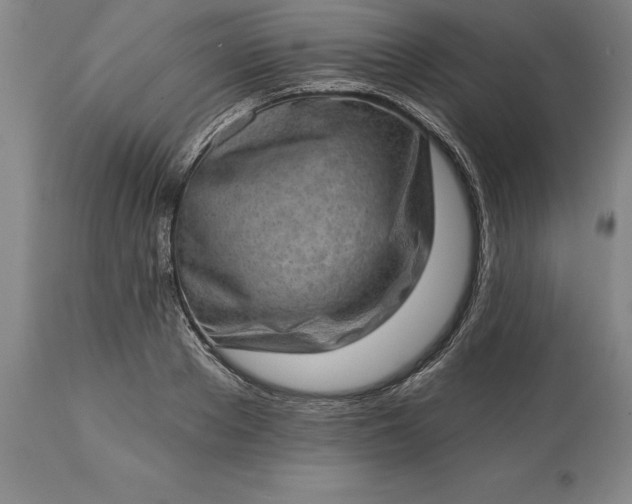 X0000113630889200910021849
