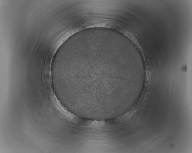 X0000113630890200910021849
